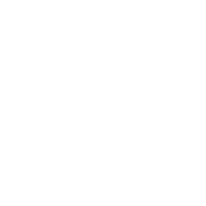 www.soulplexi.com